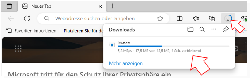 Edge: Download-Übersicht öffnen